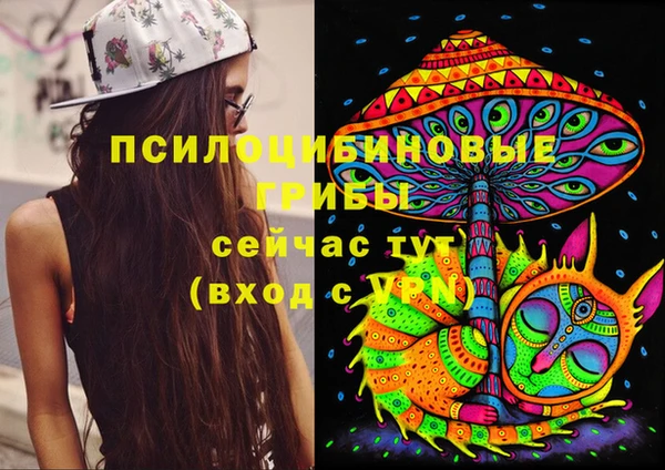 ALPHA PVP Михайловск